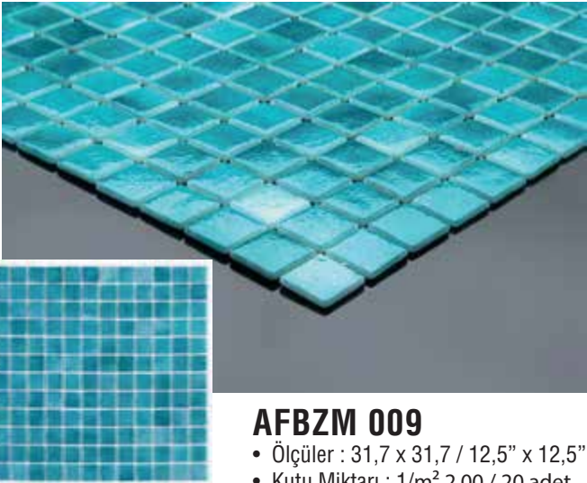 AFBZM 009