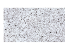 Aquasense New Riviera White