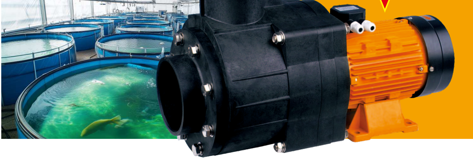 BTP-4.0AN