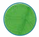 Catechin filter