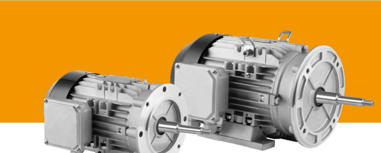 Electromagnetic Direct Current Brake Series EJ