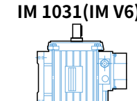 IM 1031 (IM V6)