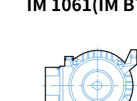 IM 1061 (IM B7)