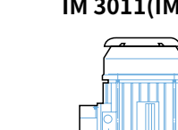 IM 3011 (IM V1)