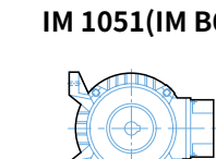 IM 3611 (IM V18)