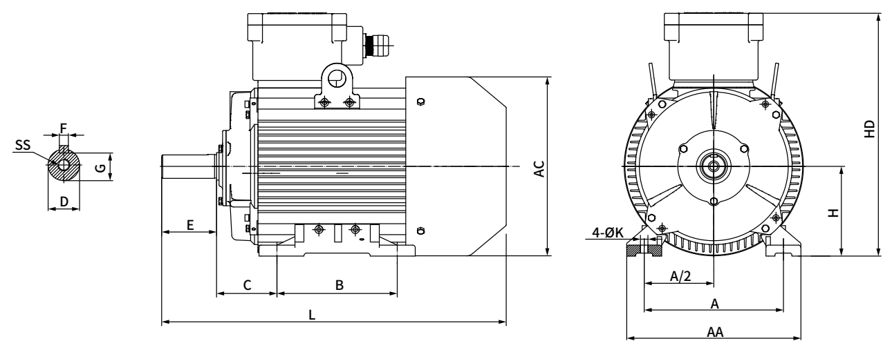 JFBE4 180-250 Series IE4 Efficiency Flameproof Motors