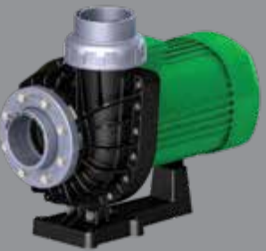 PE-17 2 Hp Ön Filitresiz Su Pompası