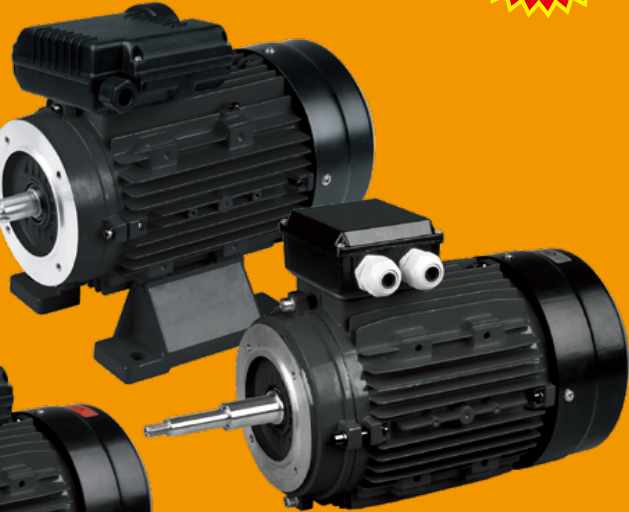 PMS Series Three-Phase Asynchronous Pump Motor
