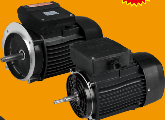 PMY Series Single-Phase Asynchronous Pump Motor