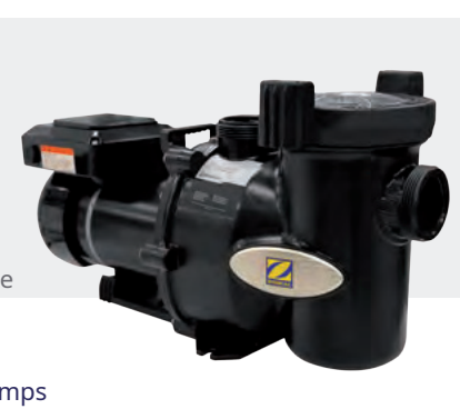 Variable Speed Pumps